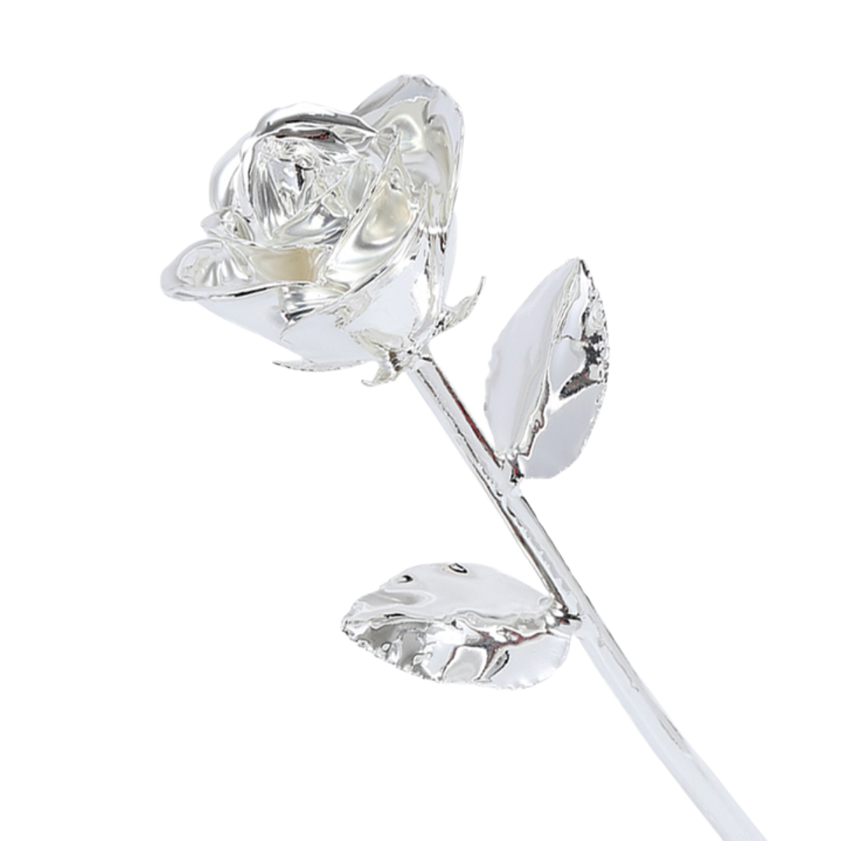 Silver rose on a white background