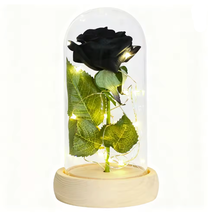 Black rose and green leaves inside a glass dome on a white background