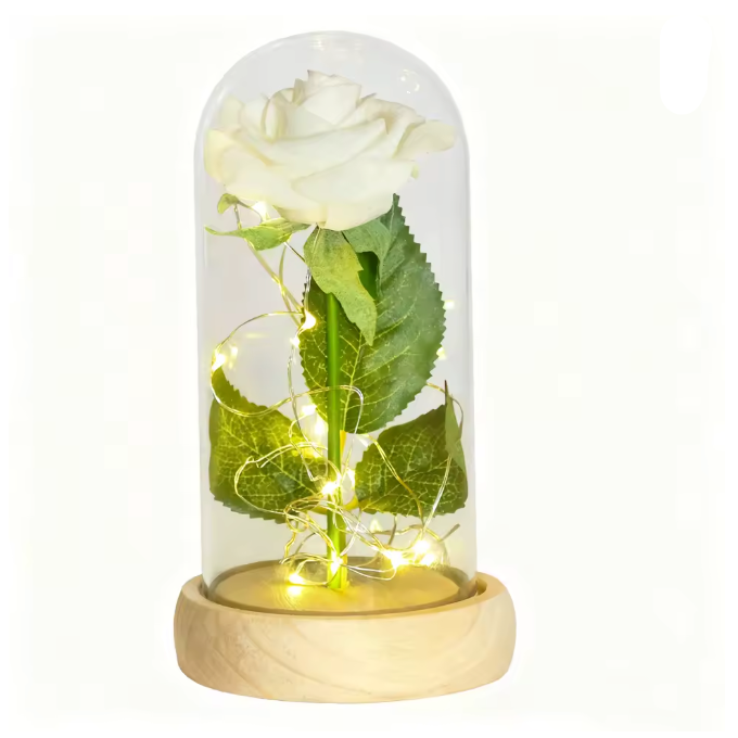 White rose in a glass dome with LED lights on a white background