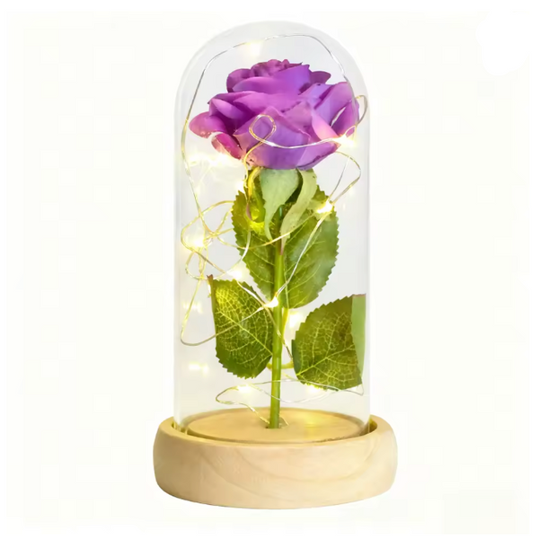 Truly Enchanted Rose