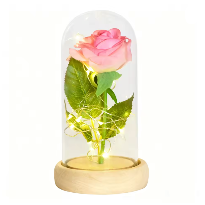 Pink rose in a glass dome with LED lights on a white background