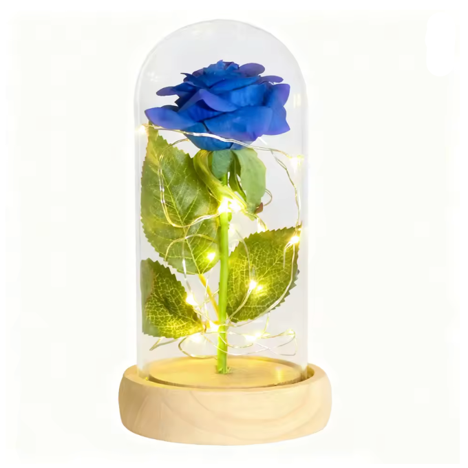 Blue rose in a glass dome with LED lights on a white background