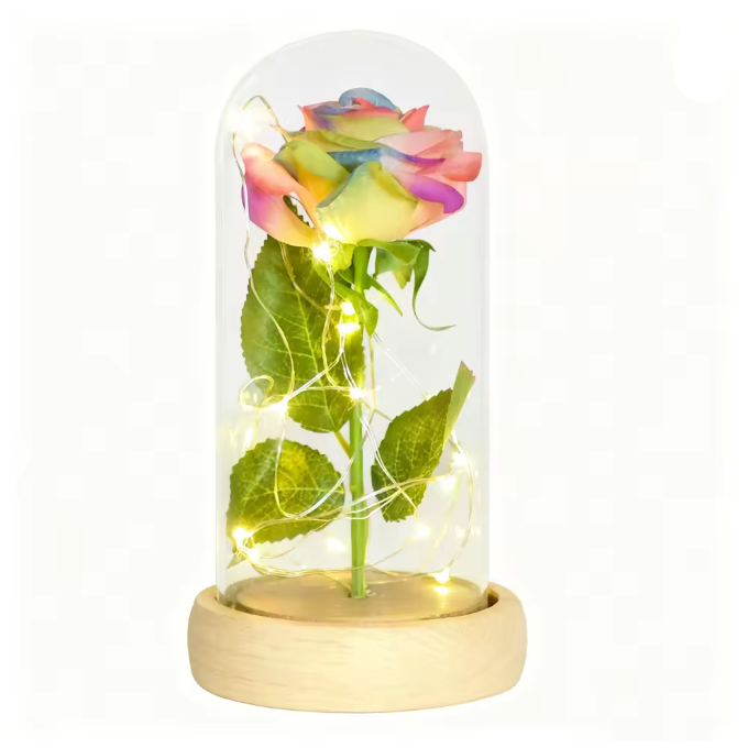 Colorful rose inside a glass dome on a white background